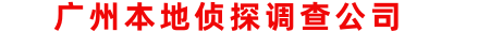 广州本地侦探调查公司